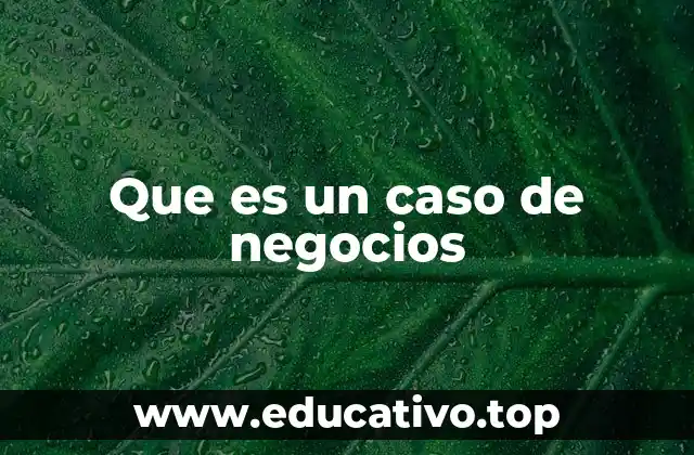 Que es un caso de negocios