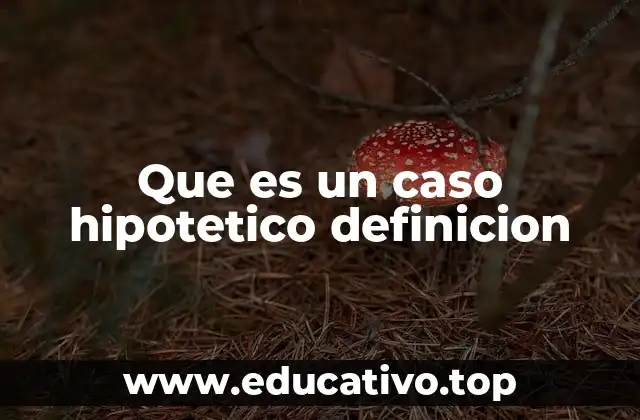 Que es un caso hipotetico definicion