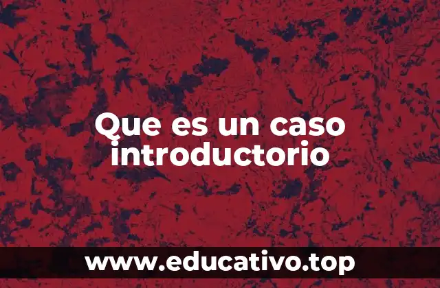 Que es un caso introductorio