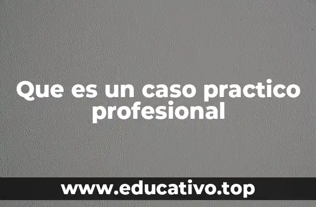 Que es un caso practico profesional