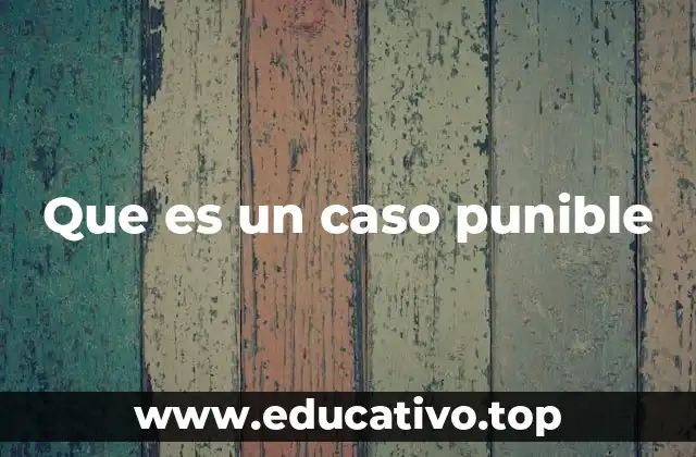 Que es un caso punible
