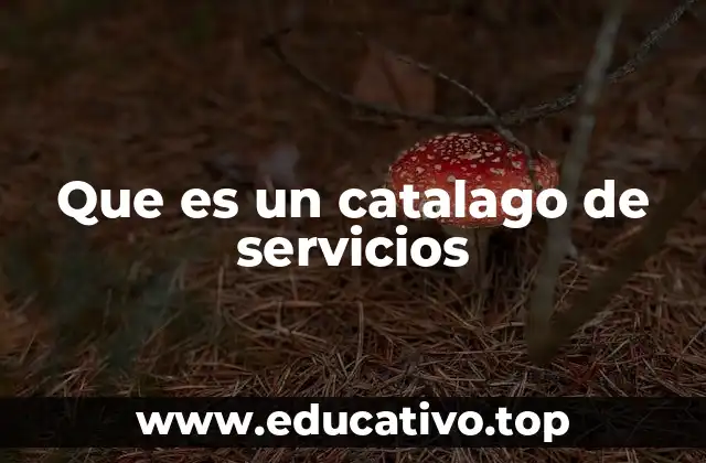 Que es un catalago de servicios