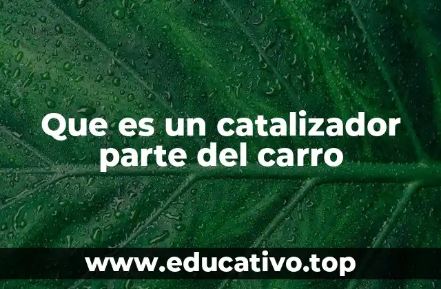 Que es un catalizador parte del carro