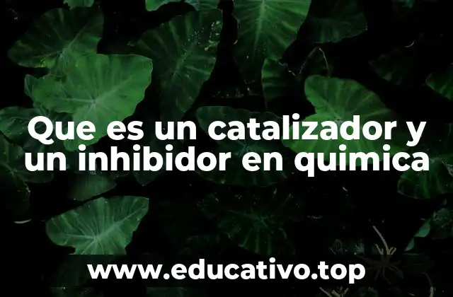 Que es un catalizador y un inhibidor en quimica