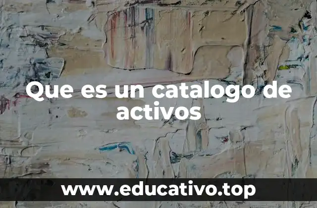 Que es un catalogo de activos