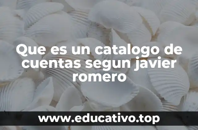 Que es un catalogo de cuentas segun javier romero