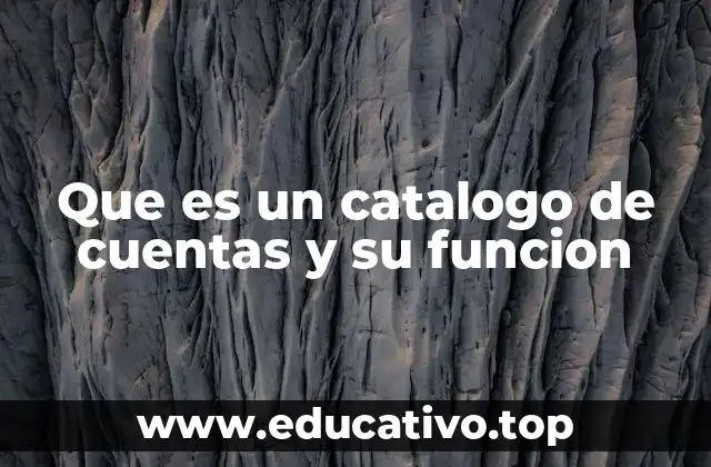 Que es un catalogo de cuentas y su funcion