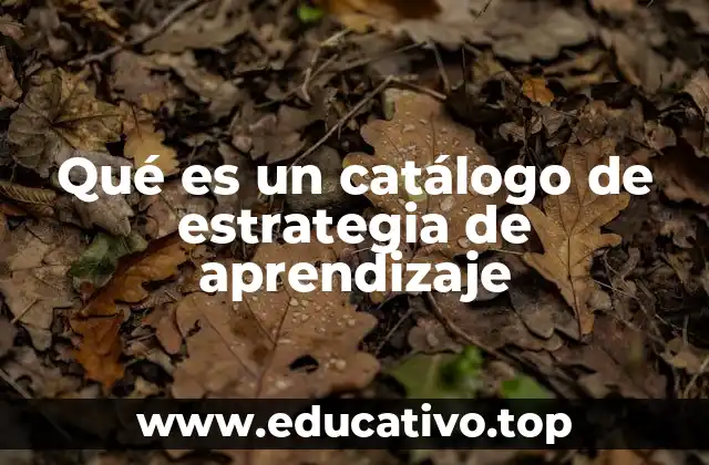 Qué es un catálogo de estrategia de aprendizaje