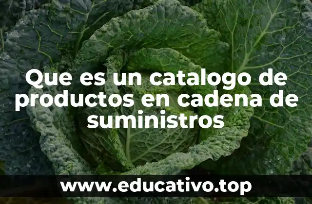 Que es un catalogo de productos en cadena de suministros