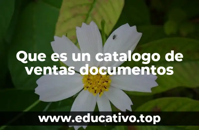Que es un catalogo de ventas documentos
