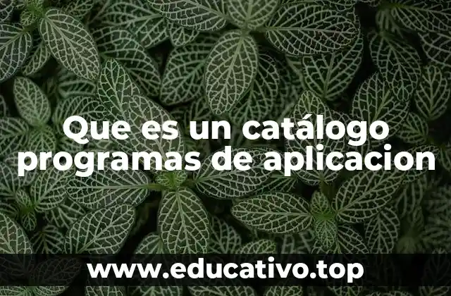 Que es un catálogo programas de aplicacion