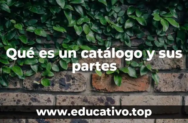 Qué es un catálogo y sus partes