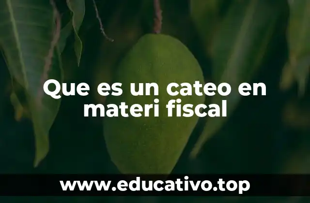 Que es un cateo en materi fiscal