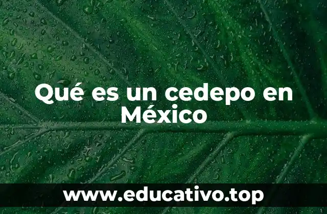 Qué es un cedepo en México