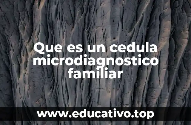 Que es un cedula microdiagnostico familiar