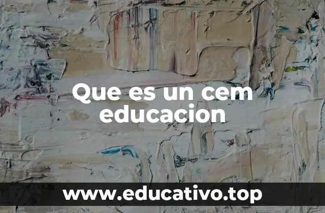 Que es un cem educacion