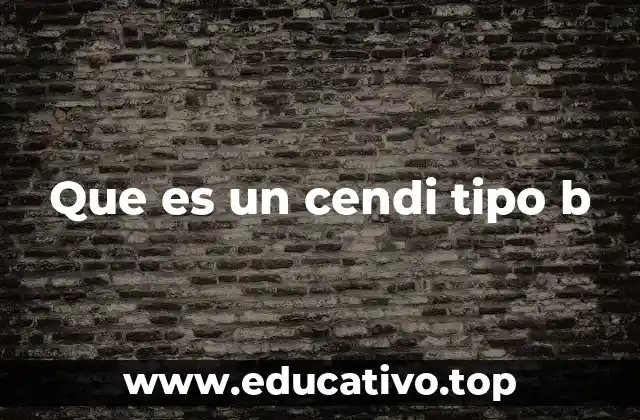 Que es un cendi tipo b