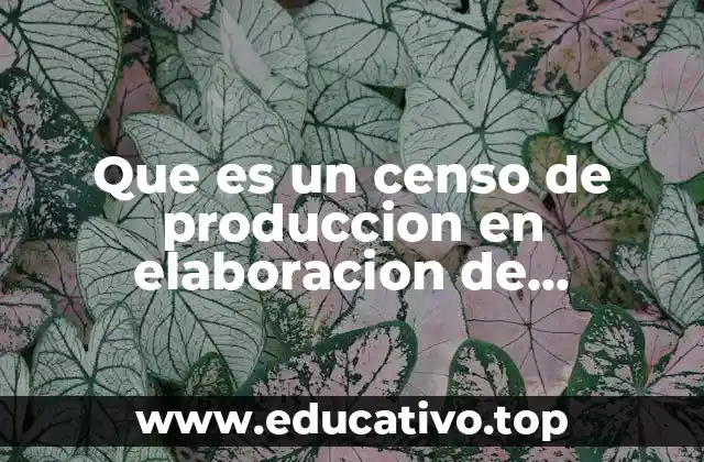 Que es un censo de produccion en elaboracion de proyectos