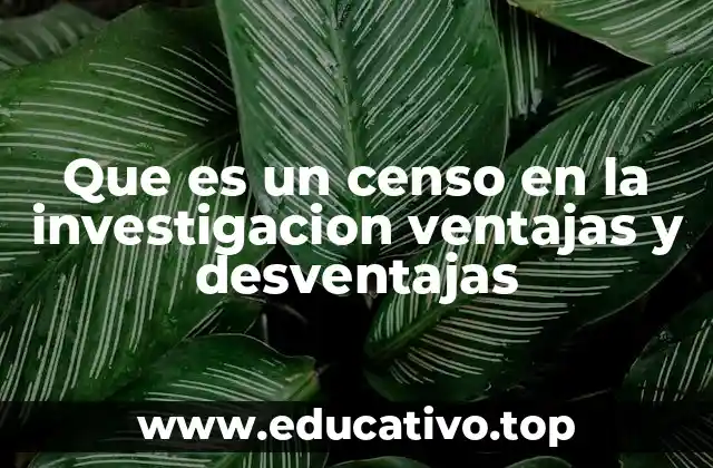 Que es un censo en la investigacion ventajas y desventajas