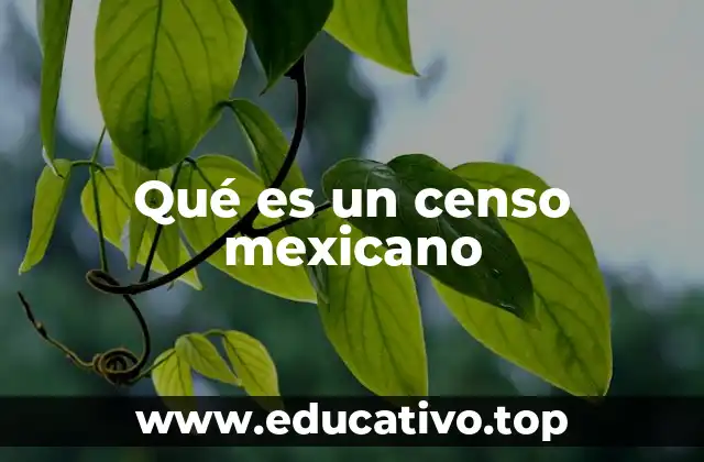 Qué es un censo mexicano