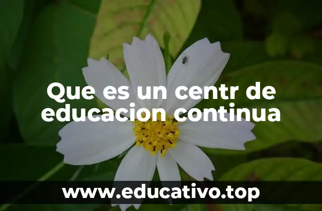 Que es un centr de educacion continua