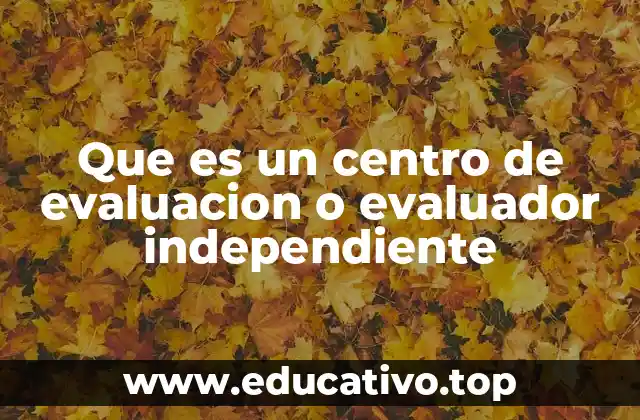 Que es un centro de evaluacion o evaluador independiente