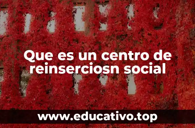 Que es un centro de reinserciosn social