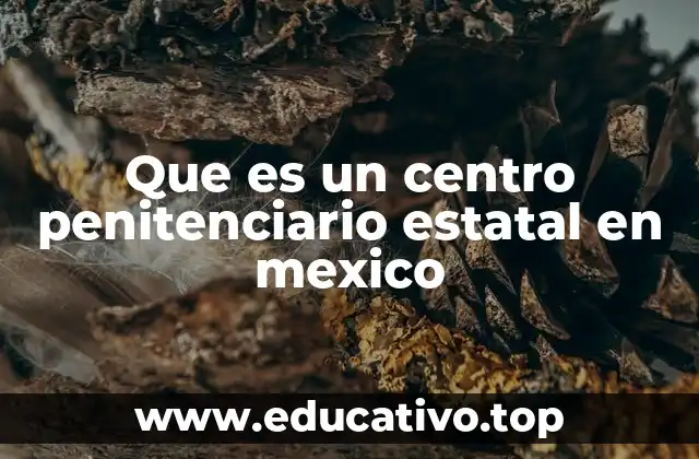 Que es un centro penitenciario estatal en mexico