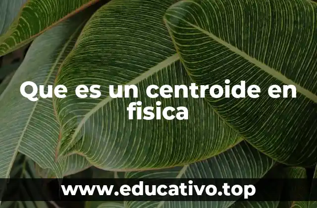 Que es un centroide en fisica