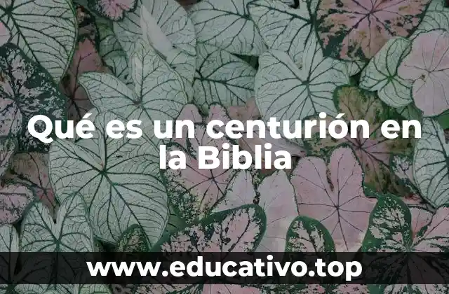Qué es un centurión en la Biblia