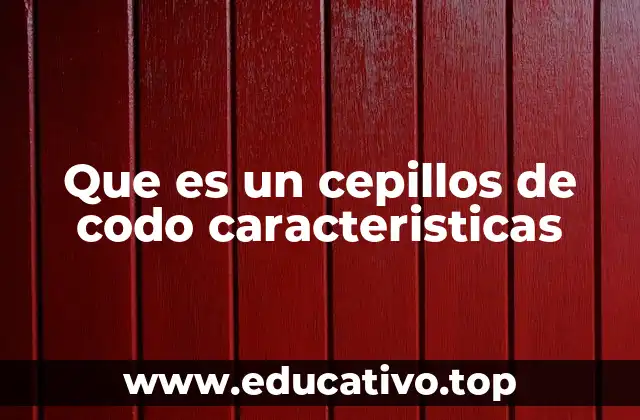 El diseño ergonómico detrás de los cepillos de codo