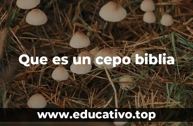 Que es un cepo biblia