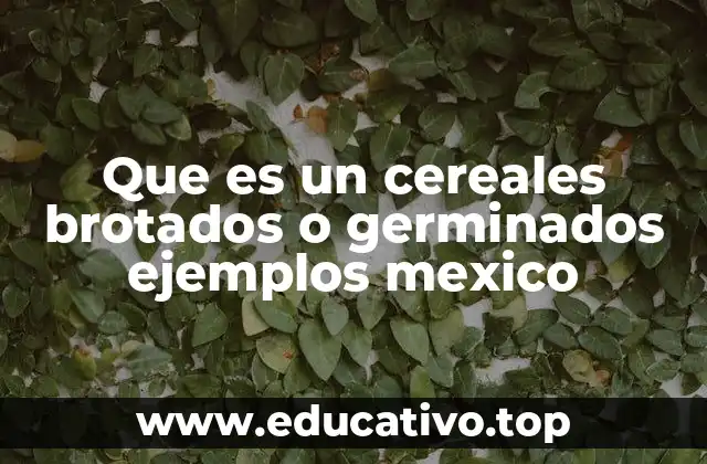 Que es un cereales brotados o germinados ejemplos mexico