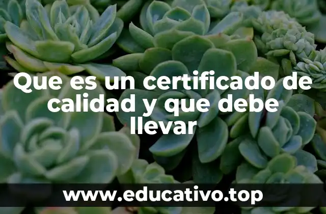 Que es un certificado de calidad y que debe llevar