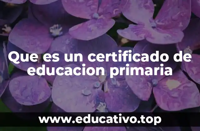 Que es un certificado de educacion primaria
