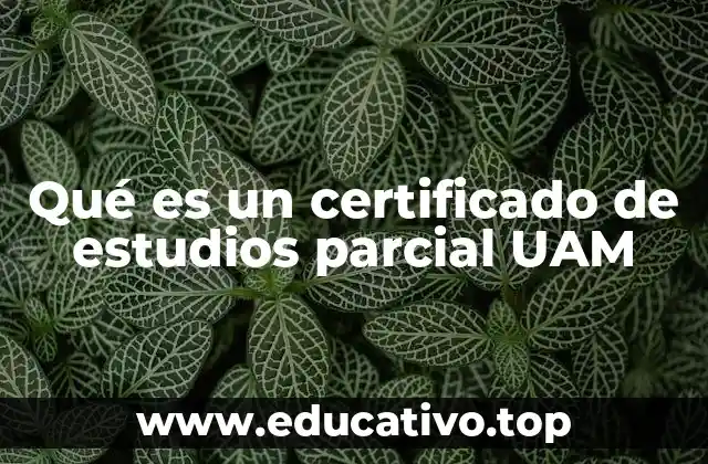 Qué es un certificado de estudios parcial UAM