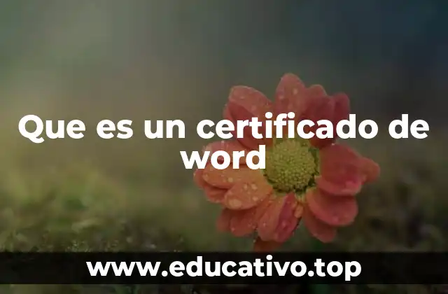 Que es un certificado de word