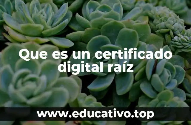 Que es un certificado digital raíz
