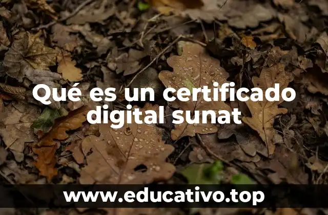 Qué es un certificado digital sunat