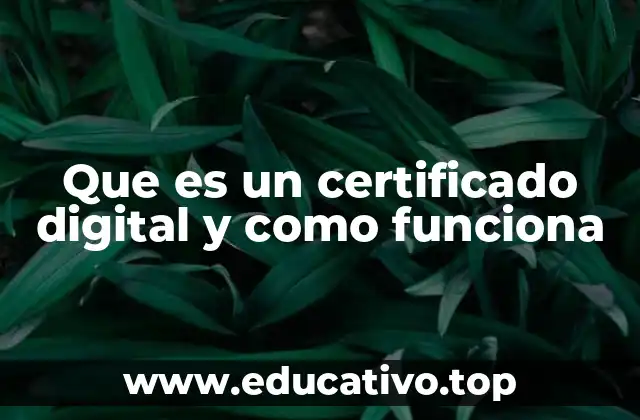 Que es un certificado digital y como funciona