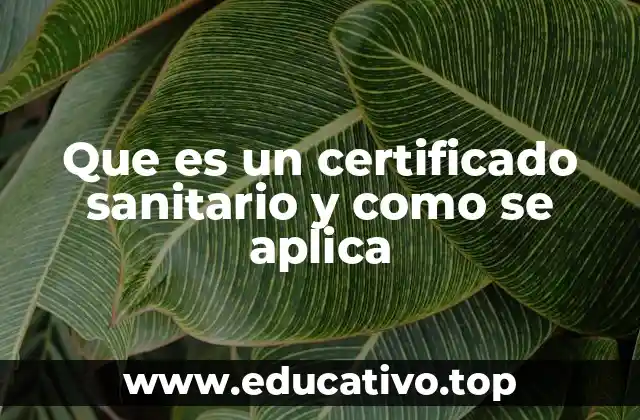 Que es un certificado sanitario y como se aplica