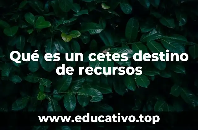 Cómo funciona el sistema de Cetes y su importancia en la economía mexicana