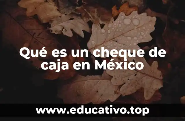 Qué es un cheque de caja en México