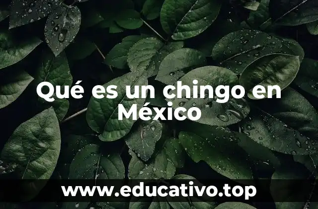 Qué es un chingo en México