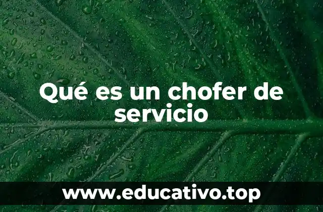 Qué es un chofer de servicio