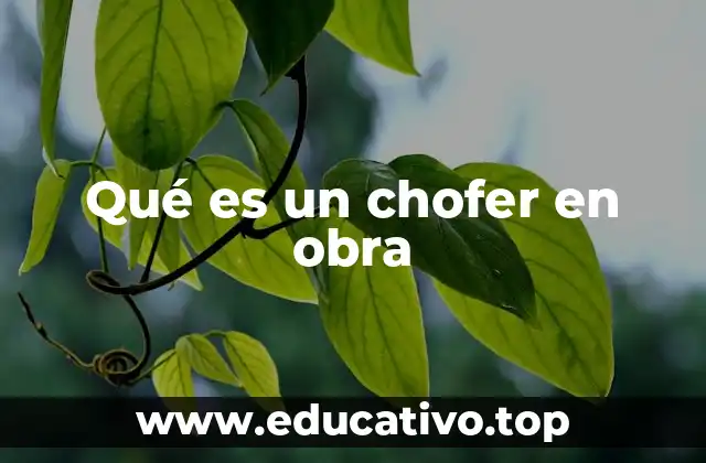 Qué es un chofer en obra