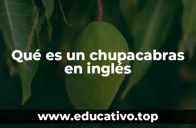 Qué es un chupacabras en inglés