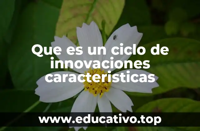 Que es un ciclo de innovaciones caracteristicas