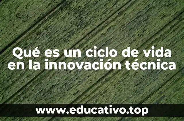 Qué es un ciclo de vida en la innovación técnica
