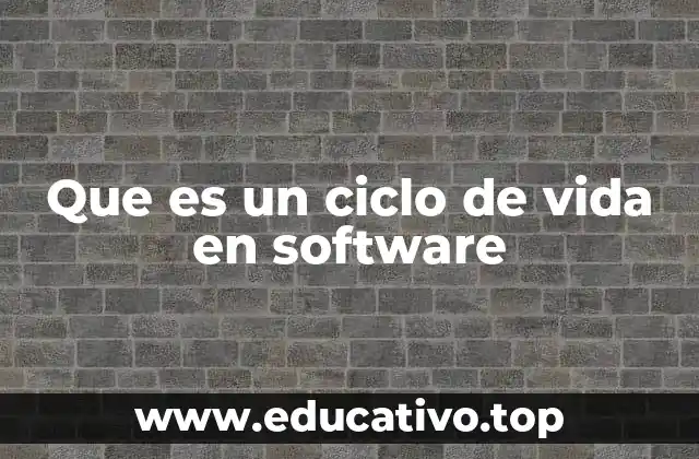 Que es un ciclo de vida en software